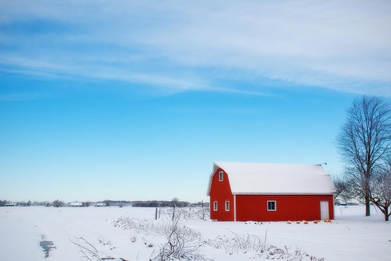 Rustic Barn Landscape